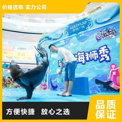 南安市分公司 專業(yè)出租表演鸚鵡，打造難忘動物展覽體驗